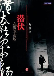 仇子明《潜伏在资本市场》全套